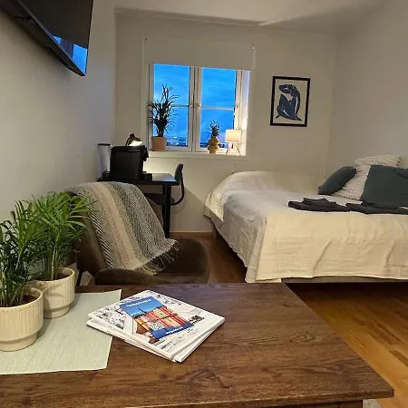 Apartment Riverside Studioapartment 100m From Trainstation!