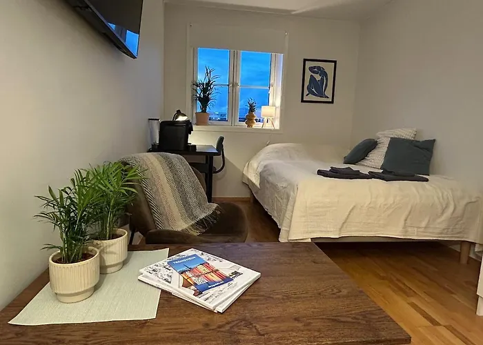 Apartment Riverside Studioapartment 100m From Trainstation!